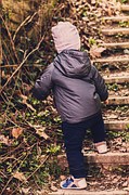 A toddler in a gray jacket and blue pants climbs outdoor steps surrounded by greenery and fallen leaves.