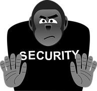security-1365599__180