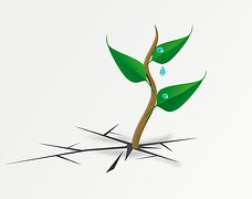 survival tips for online marketing