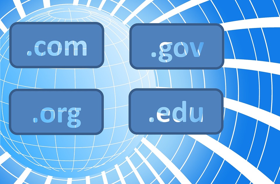 Blue digital background with a globe grid pattern. Four domain suffixes are displayed in blue rectangles: .com, .gov, .org, and .edu.